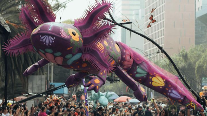 Fecha y ruta del Desfile de Alebrijes Monumentales 2025 en la CDMX