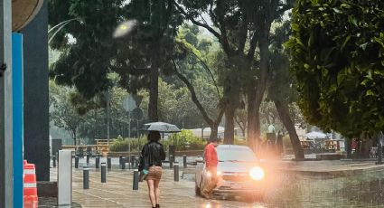 Frente frío: ¿Qué estados de México tendrán lluvias y clima helado?