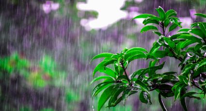 Nuevo ciclón tropical: cómo afectará el clima este fin de semana, 18 y 19 de octubre