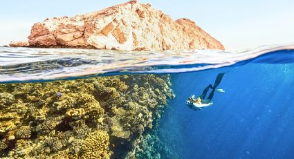 ‘Tesoro Alacranes’, el millonario descubrimiento oculto en un arrecife mexicano