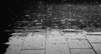 Ciclón Priscila: ¿Qué estados podría afectar a su paso por México con lluvias intensas?