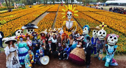 Sendero de las Almas: Así es el recorrido por los campos de cempasúchil en Xochimilco