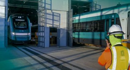 Tren Maya presenta serie de cortometrajes y así puedes disfrutarlos