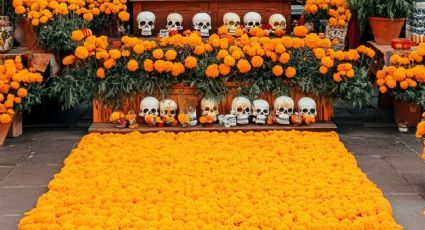 Flor de cempasúchil llega a 6.3 millones en producción y rompió récord en México