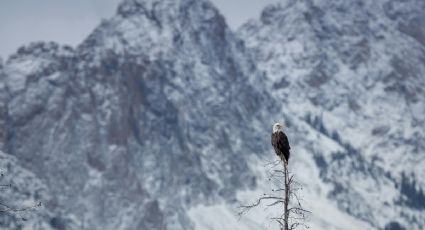 Frente frío 9 congelará Chihuahua y la Sierra Tarahumara