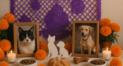 ¿Cuándo se debe poner la ofrenda para mascotas en Día de Muertos?