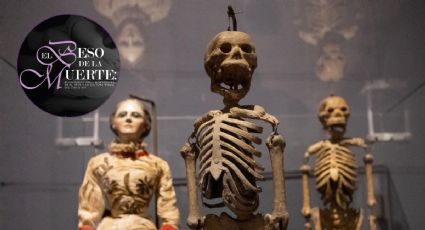 El beso de la muerte, la exposición que podrás disfrtuar en Día de Muertos 2025