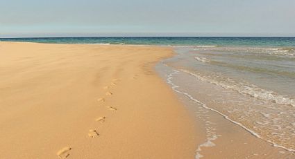 Playa Tláloc, el oasis poco conocido en la frontera de México y Estados Unidos
