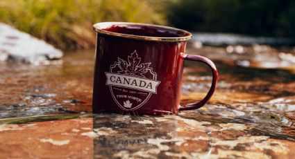 Visa para Canadá rechazada: cómo volver a aplicar correctamente