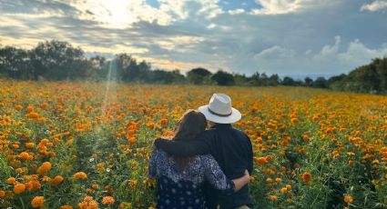 Atlixco: ¿Cómo se vive el Día de Muerto en los campos de cempasúchil?