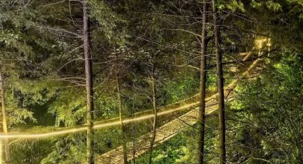 Puentes colgantes en México perfectos para disfrutar el paisaje desde las alturas