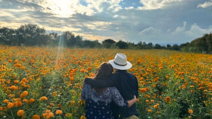 Atlixco: ¿Cómo se vive el Día de Muerto en los campos de cempasúchil?