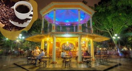 El estado mexicano donde puedes probar un rico café y tener una ESCAPADA del frío