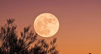 Así será la Luna de Cosecha, la primera superluna de octubre 2025 y la fecha para verla