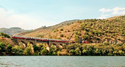 AIFA-Pachuca y México-Querétaro: las nuevas rutas de trenes de pasajeros para planear viajes
