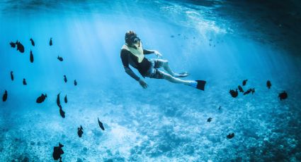 Los destinos más recomendados para disfrutar una aventura con buceo y esnórquel en México
