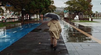 Huracán Priscilla: ¿Qué hacer ante la presencia de estos fenómenos en tus vacaciones?