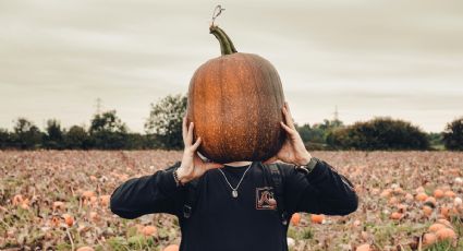 Festival de Otoño 2025: Guadalajara te espera con recorrido nocturno para celebrar Día de Muertos