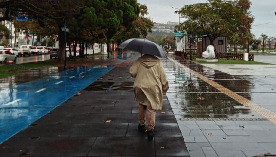 Huracán Priscilla: ¿Qué hacer ante la presencia de estos fenómenos en tus vacaciones?