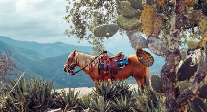 Ruta de la Revolución: Así eran las principales carreteras que recorrieron los héroes de México