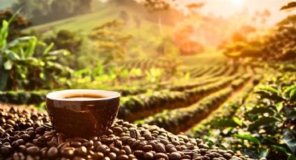 El Pueblo Mágico de Veracruz para disfrutar el mejor café en medio de un paisaje montañoso