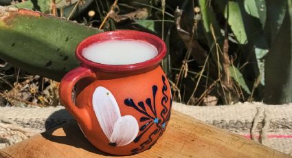 Tianguis del Pulque y la Cerveza 2025 en la CDMX: Actividades, fecha y sabores que podrás disfrutar