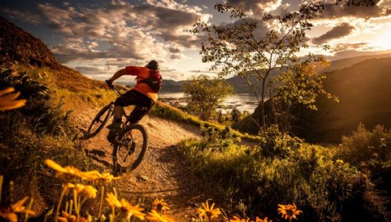 ¿Amas la aventura? Los destinos oficiales para hacer ciclismo de montaña en México