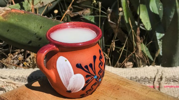 Tianguis del Pulque y la Cerveza 2025 en la CDMX: Actividades, fecha y sabores que podrás disfrutar