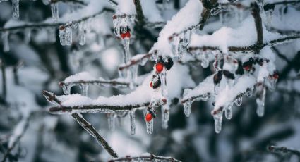 ¿Cuándo terminarán los frentes fríos en México y qué hacer para protegerte?