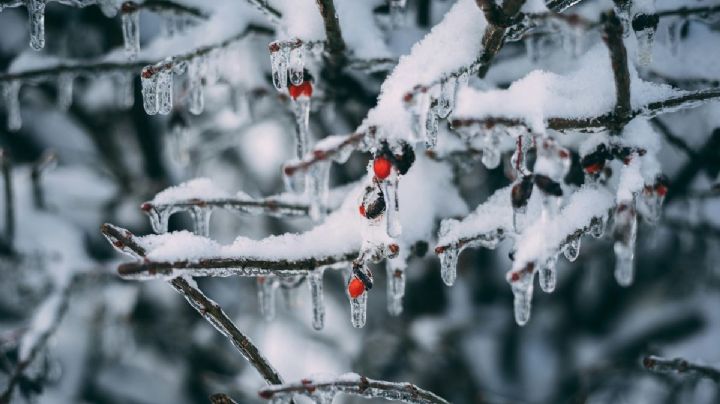 ¿Cuándo terminarán los frentes fríos en México y qué hacer para protegerte?
