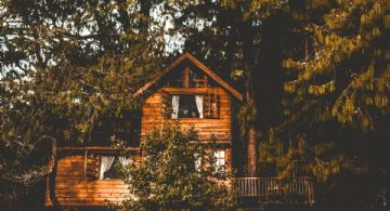 Plan navideño: duerme en una casa del árbol a 5 metros de altura en un Pueblo Mágico de Hidalgo