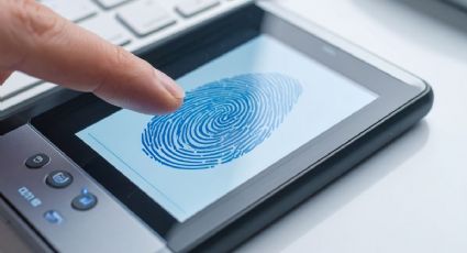 CURP biométrica y nuevos documentos de identidad: impacto en tus trámites de viaje