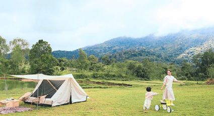 Apoyo a Madres Solteras 2025: ¿Qué necesitas para obtener 24 mil pesos?