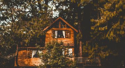 Plan navideño: duerme en una casa del árbol a 5 metros de altura en un Pueblo Mágico de Hidalgo