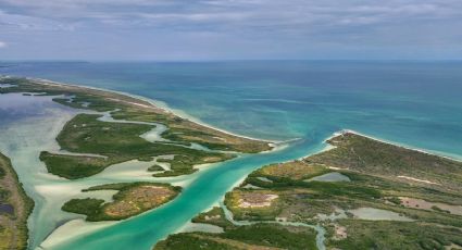 Río Lagartos, una joya escondida en Yucatán ¿Qué actividades puedes realizar?