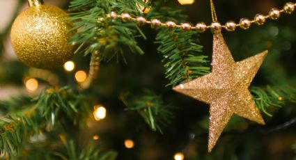 Visita la Expo Navidad Forestal en un pintoresco Pueblo Mágico del Edomex