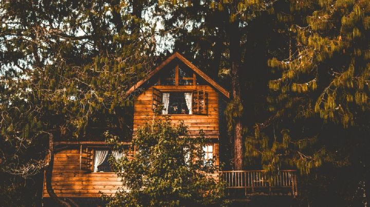 Plan navideño: duerme en una casa del árbol a 5 metros de altura en un Pueblo Mágico de Hidalgo