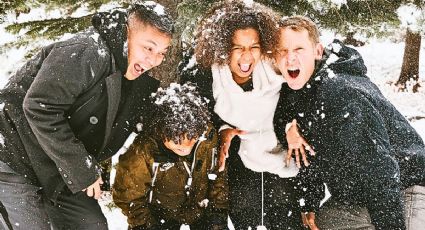 Navidad y nieve en la CDMX: Disfruta de árboles de navidad gigantes en estos centros comerciales