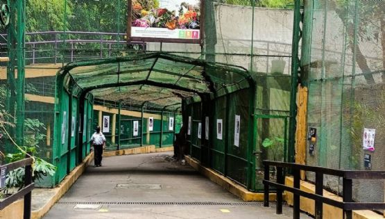 Trenecito de Chapultepec volverá a funcionar en 2026 y esto costará