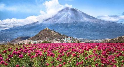 Volcán Popocatépetl asusta a visitantes con sus estruendos: VIDEO