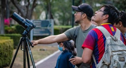 Noche de Murciélagos llega a Xochimilco y así puedes participar