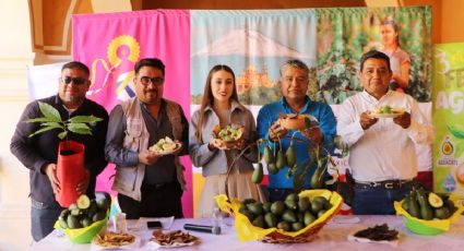 Feria del Aguacate llega a Puebla para disfrutar sabores tradicionales de México: FECHAS