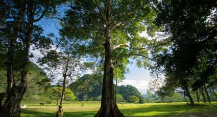 ¿Cuáles son los 3 Pueblos Mágicos más bonitos de Tabasco, según la IA?