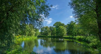 Así será el nuevo Parque del Agua con espacios recreativos y foro al aire libre en Nuevo León