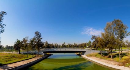 Bosque San Juan de Aragón celebrará 61 aniversario con festival cultural