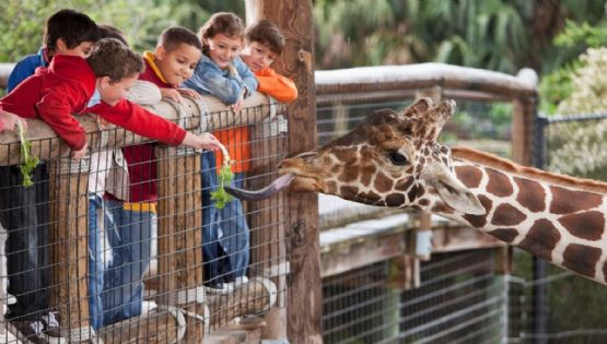 Zoológico de Guadalajara: Así es este lugar para convivir con animales al salir con niños