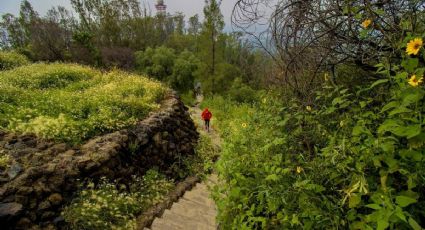 Ruta por el Cerro de la Estrella: Así puedes participar este fin de semana