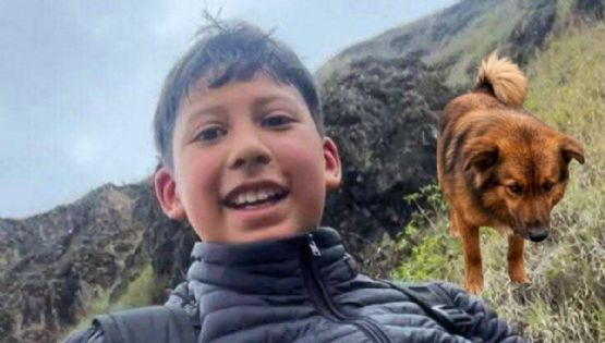 La emotiva historia del pequeño que fue salvado por un perro tras perderse en la montaña
