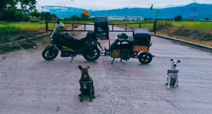 Familia acondiciona moto para sus perritos adoptados: “Merecen viajar mejor que nosotros”