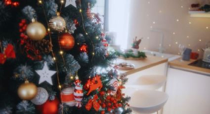 Gran venta de árboles de Navidad en Chapingo, una propuesta sustentable y ecológica